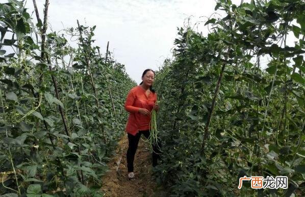 工程管理专业创业案例 工程类创业