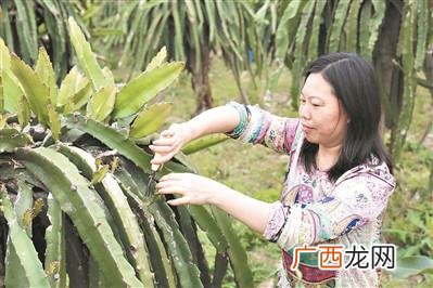 工程管理专业创业案例 工程类创业
