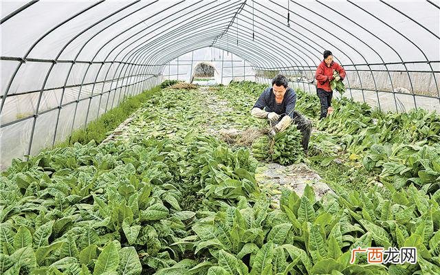 工程管理专业创业案例 工程类创业