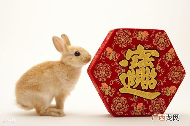 创业者心得体会,创业心得分享怎么写