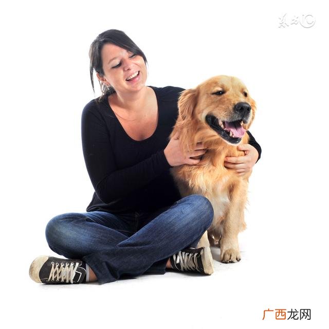 关于宠物的创业计划书,宠物店创业计划书ppt图文