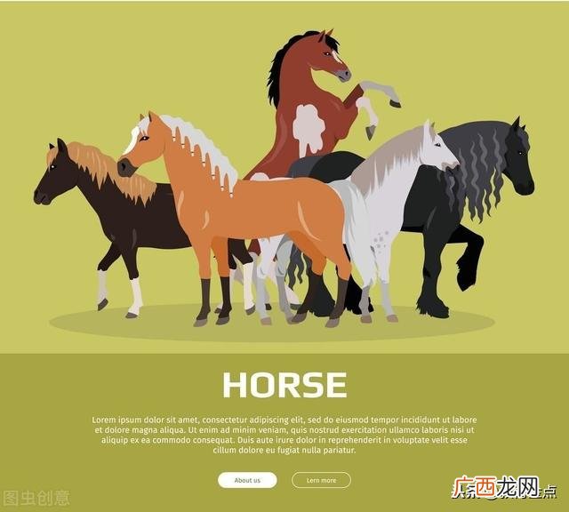 小学数学项目式教学案例设计,项目化教学是什么意思