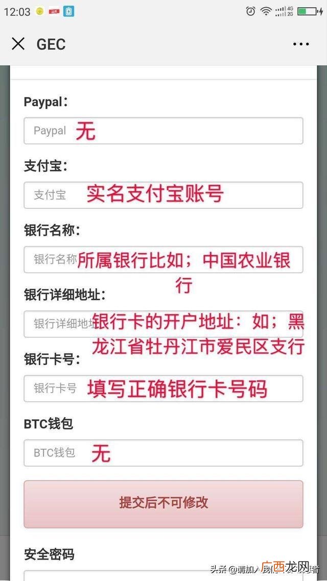 gec中国区唯一登录网址 环保创业币gec官网