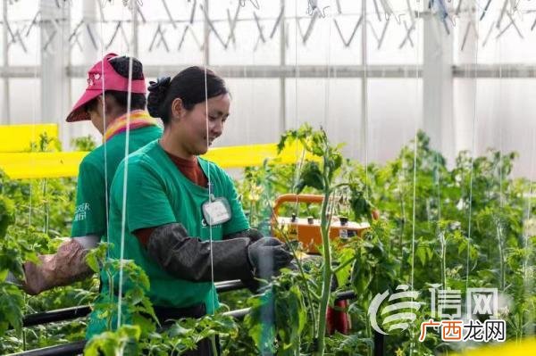 合作社创业计划书范文 种植合作社创业计划书
