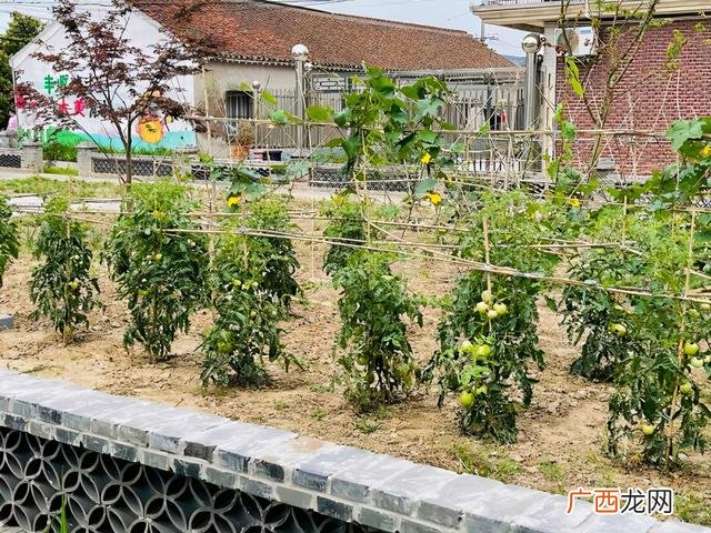 2020创业小生意 今年适合做什么生意好