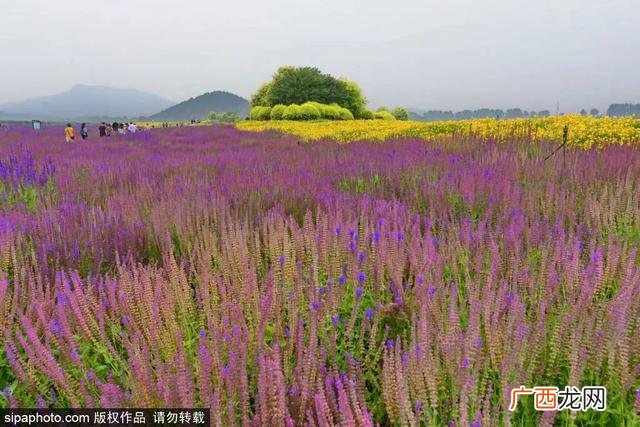 室内网红游乐项目,北京网红游乐项目