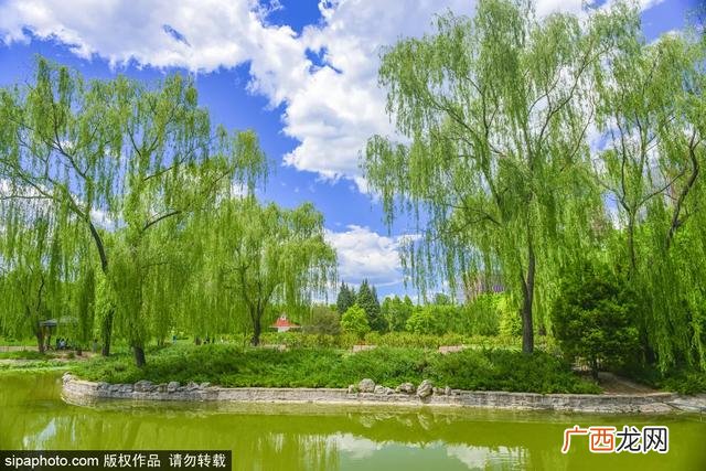 室内网红游乐项目,北京网红游乐项目