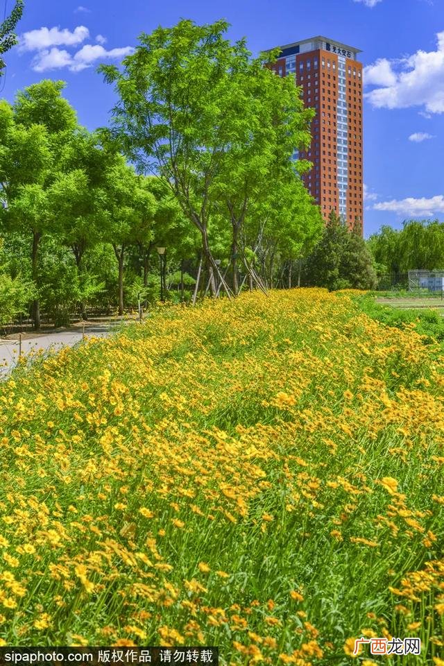 室内网红游乐项目,北京网红游乐项目