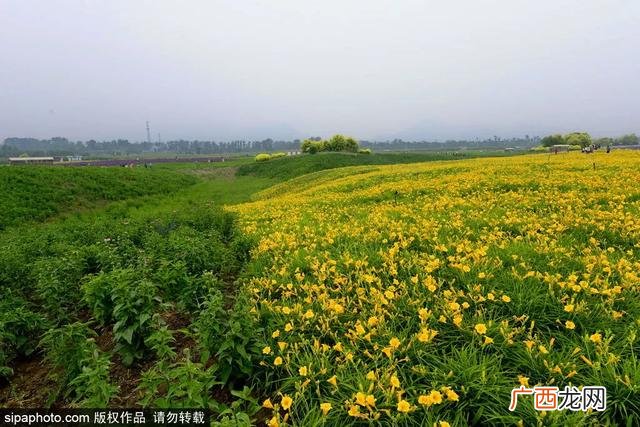 室内网红游乐项目,北京网红游乐项目