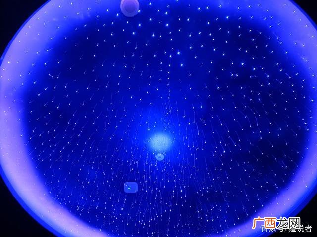 一夜白头是真的吗 王健林30几岁创业