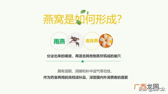 产品说明书word模板,产品介绍模板word