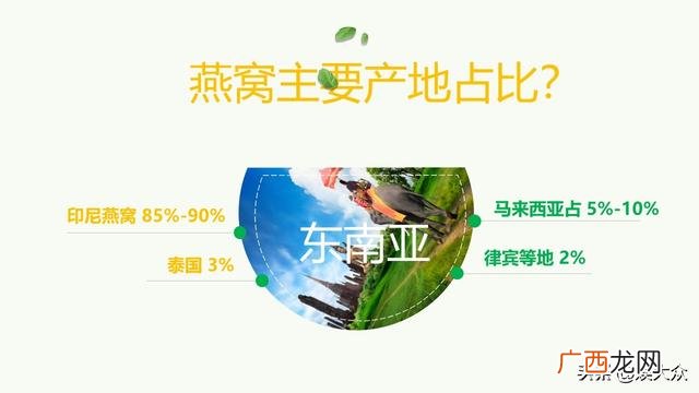 产品说明书word模板,产品介绍模板word