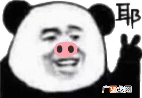 女生创业团队名称,创业团队的群名