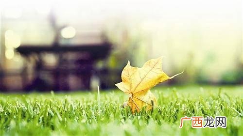 创业做什么,创业何为创业