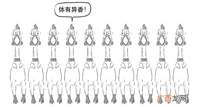 什么是创业板基金,创业板指数etf基金
