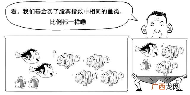 什么是创业板基金,创业板指数etf基金