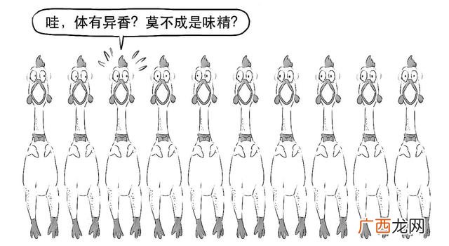 什么是创业板基金,创业板指数etf基金