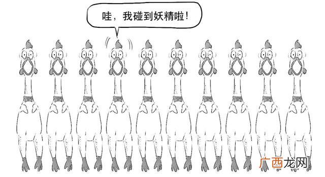 什么是创业板基金,创业板指数etf基金