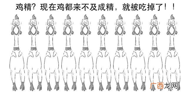 什么是创业板基金,创业板指数etf基金