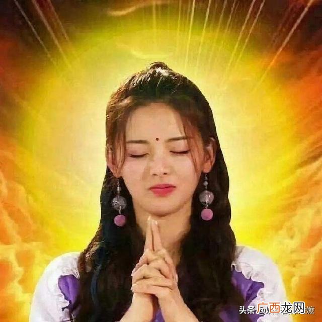大盘鸡杨导创业日记,杨超越创业