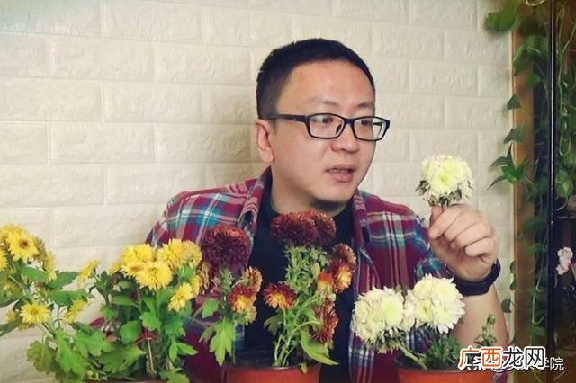 坤哥坤嫂的演唱视频,坤哥创业视频