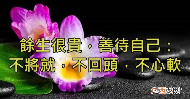 2020最近有一种新的骗术 2020最新资金盘