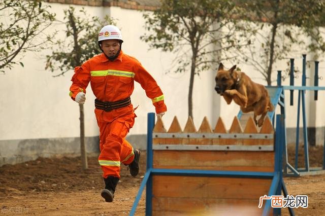 2021年消防报考时间,消防兵报名时间2021年官网