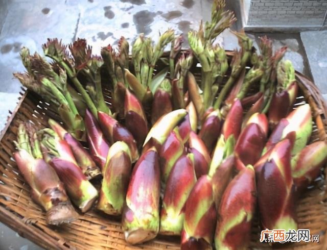 农村做什么生意赚钱,创业卖什么东西赚钱生意好