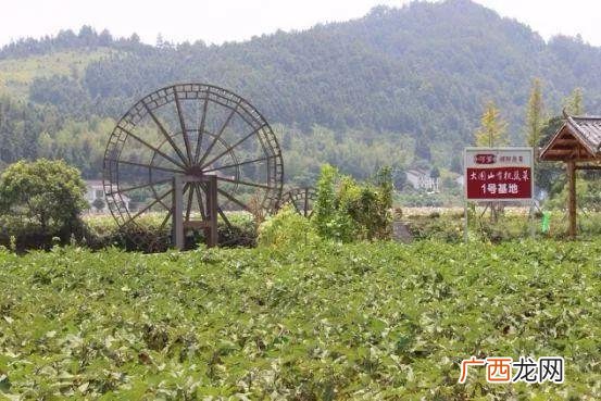 外卖快餐加盟品牌排行榜,加盟江南家小碗菜怎么样