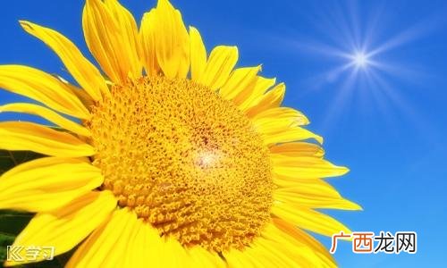 参加创业培训以后的打算,创业培训活动策划方案