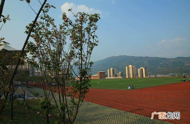 初中学历可以成人高考吗 初中学历可以报自考吗