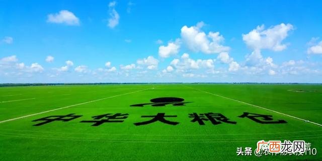 富锦到前进镇,勤得利到创业