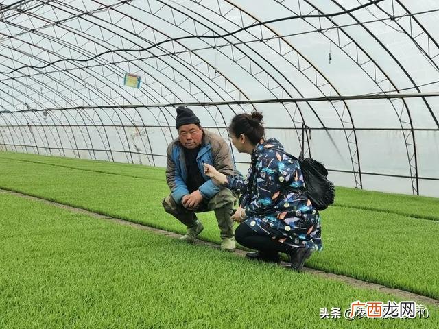 富锦到前进镇,勤得利到创业