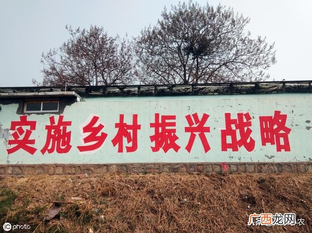 为什么不愿意回老家,为什么很多人回老家创业