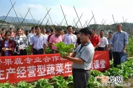 创业项目致富,创业项目失败明细