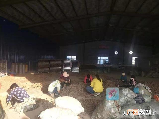 亳州中药材烘干设备,亳州创业扶持,农业种植,烘干项目