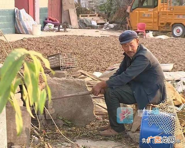 亳州中药材烘干设备,亳州创业扶持,农业种植,烘干项目