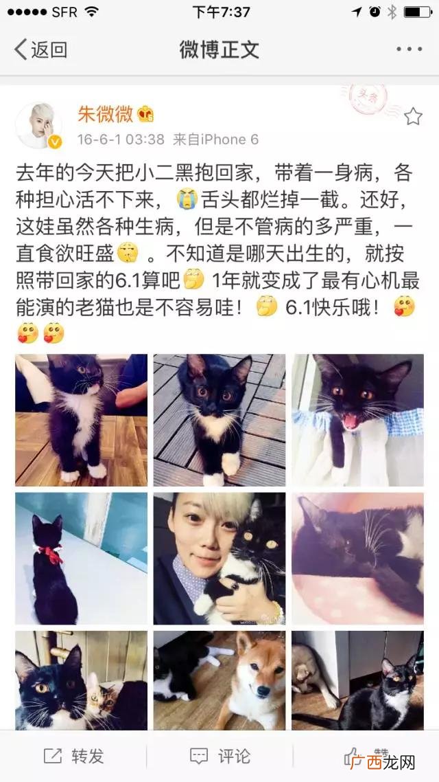 一个人带孩子怎么摆地摊,女生一个人摆地摊做什么合适