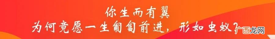 东北大学软件学院官网 东北大学官网