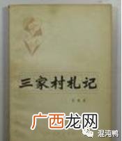 关于方方日记事件的看法,芳芳曰记评论