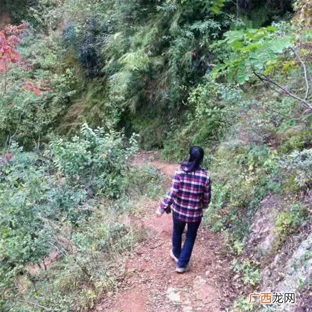 大学生跨境电商心得,大学生创新创业电商项目