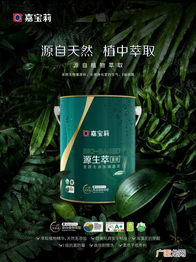 墙漆的营销活动 涂料创业计划书范文