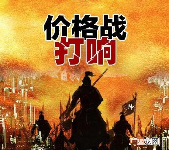 墙漆的营销活动 涂料创业计划书范文