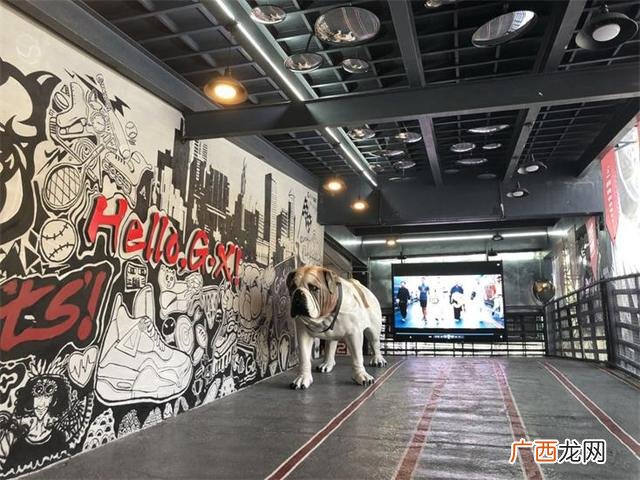 布心地铁站到龙珠四路金谷,深圳金谷创业园附近有逛街的地方吗