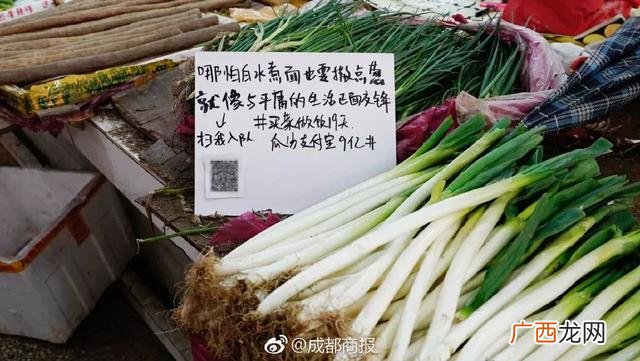 2020创业文案语录 正能量创业网
