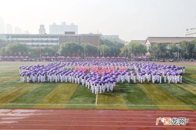 南开大学校长杯体育赛事,校长杯创新创业