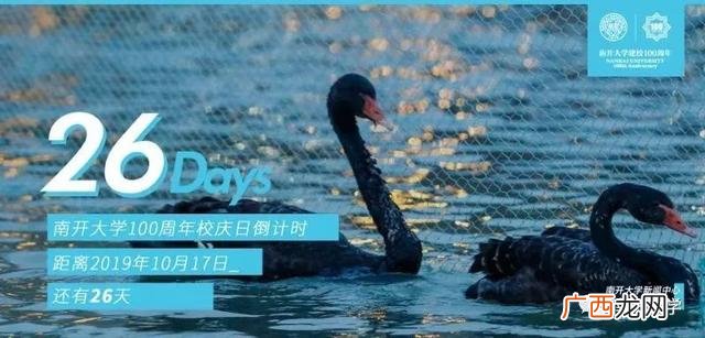 南开大学校长杯体育赛事,校长杯创新创业