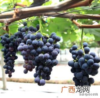 不愁销路的小型加工厂 养值创业