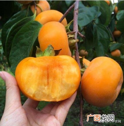 不愁销路的小型加工厂 养值创业