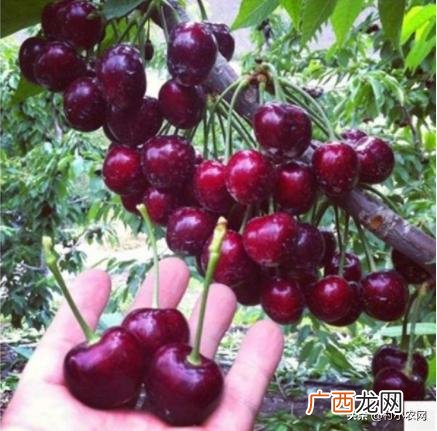 不愁销路的小型加工厂 养值创业